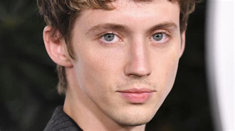 troye sivan penis|Troye Sivan on discovering his sexuality: “I cried。